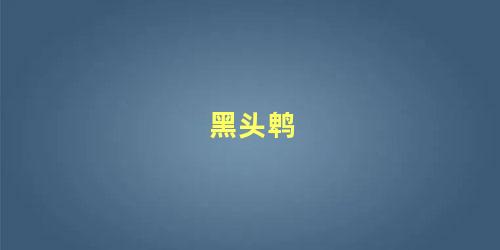 黑头鹎