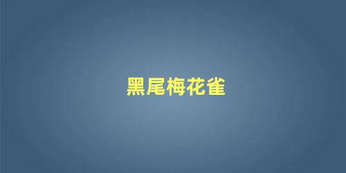 黑尾梅花雀
