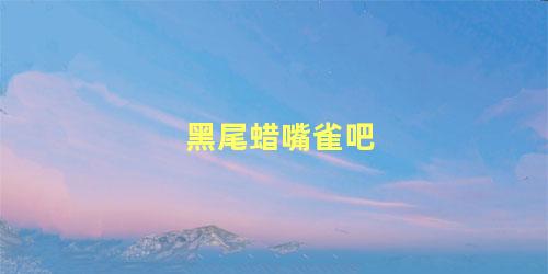黑尾蜡嘴雀吧