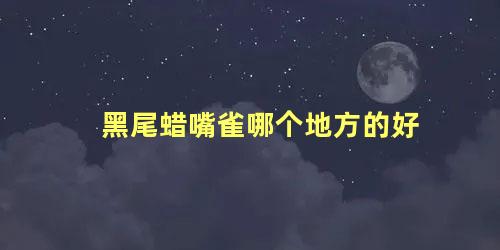 黑尾蜡嘴雀哪个地方的好