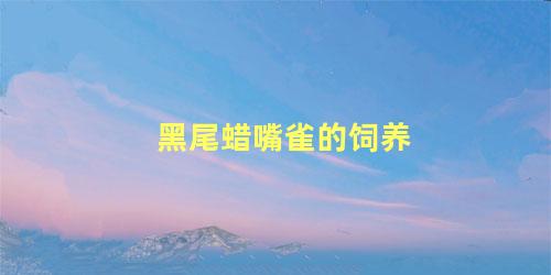 黑尾蜡嘴雀的饲养