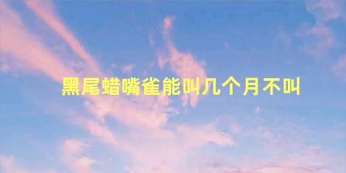黑尾蜡嘴雀能叫几个月不叫