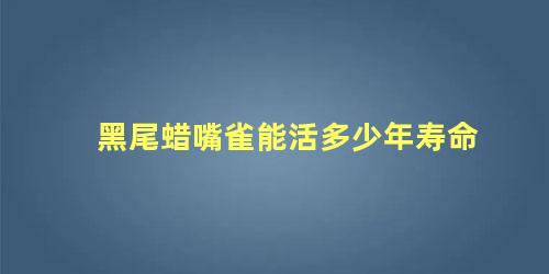 黑尾蜡嘴雀能活多少年寿命