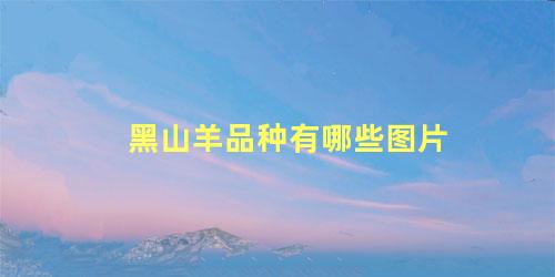 黑山羊品种有哪些图片