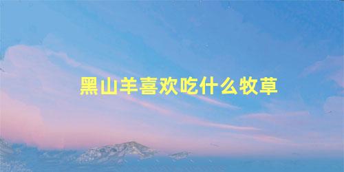 黑山羊喜欢吃什么牧草