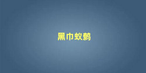 黑巾蚁鹩