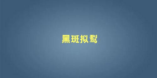 黑斑拟䴕