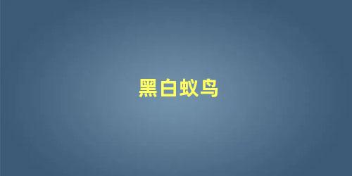 黑白蚁鸟