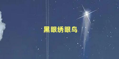 黑眼绣眼鸟