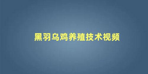 黑羽乌鸡养殖技术视频
