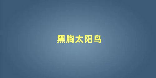 黑胸太阳鸟