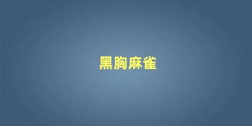 黑胸麻雀