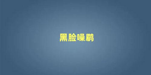 黑脸噪鹛