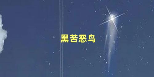 黑苦恶鸟