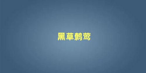 黑草鹩莺