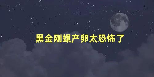 黑金刚螺产卵太恐怖了