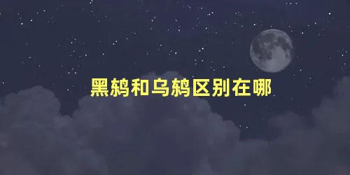 黑鸫和乌鸫区别在哪