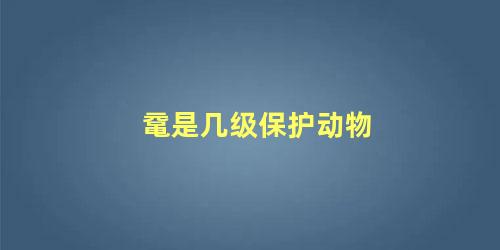鼋是几级保护动物