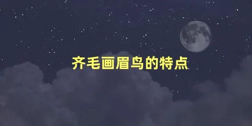 齐毛画眉鸟的特点