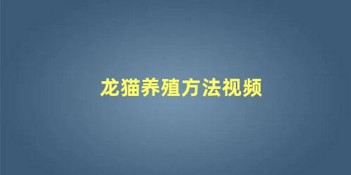 龙猫养殖方法视频