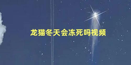 龙猫冬天会冻死吗视频