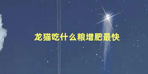 龙猫吃什么粮增肥最快