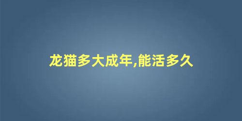 龙猫多大成年,能活多久