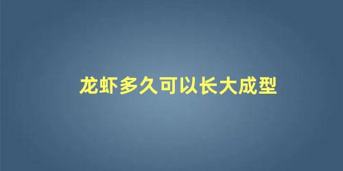 龙虾多久可以长大成型