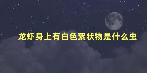 龙虾身上有白色絮状物是什么虫