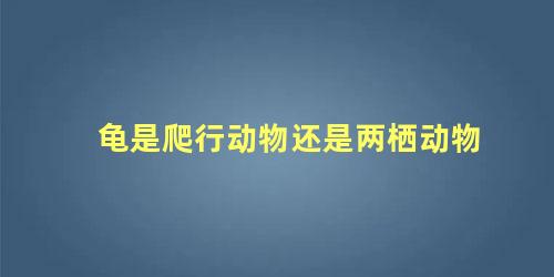 龟是爬行动物还是两栖动物