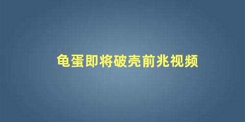 龟蛋即将破壳前兆视频